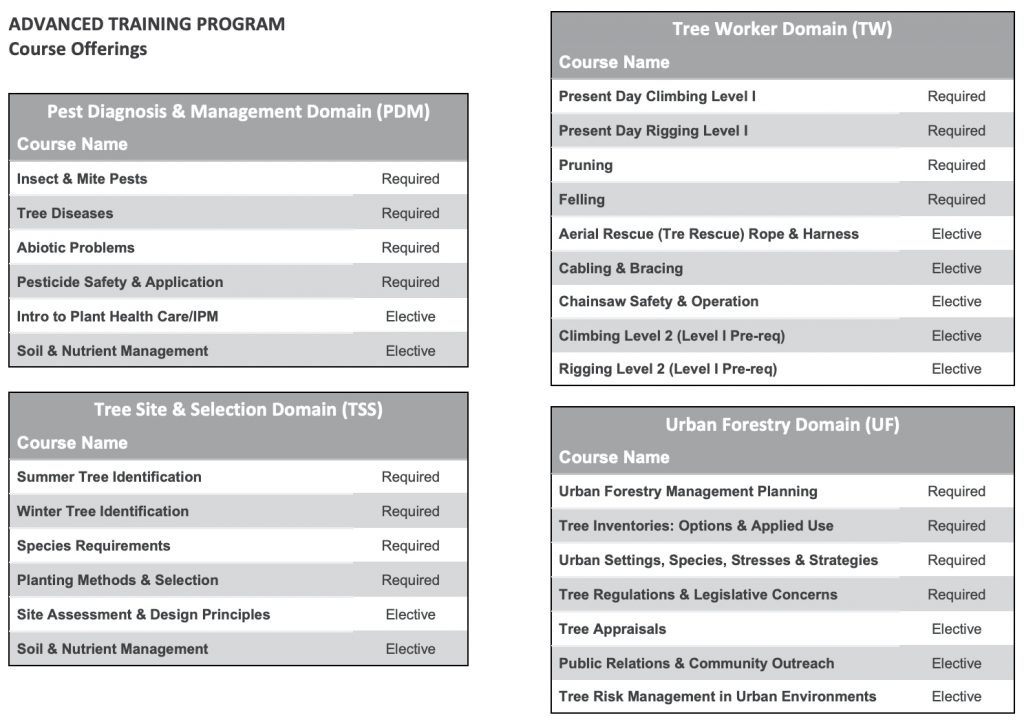 Isa Tree Risk Assessment Qualification Traq