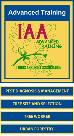 An IAA Advanced Training logo