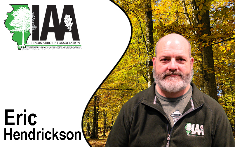 Eric Hedrickson Board of Directors at IAA