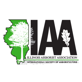 IAA logo in a different size
