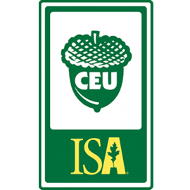 CEU Logo in Green With a Pine Cone Copy