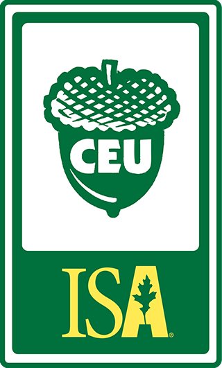 CEU Logo in Green With a Pine Cone One