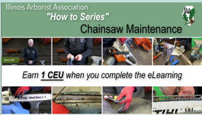 A chainsaw maintenance cover