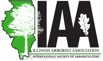 IAA logo variant