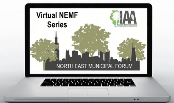The Virtual NEMF Series cover