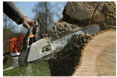 A Person Cutting of a Tree With a Chainsaw