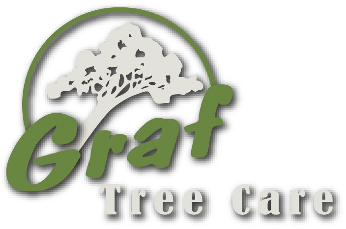 Graf Tree Care Logo in Green and White Color